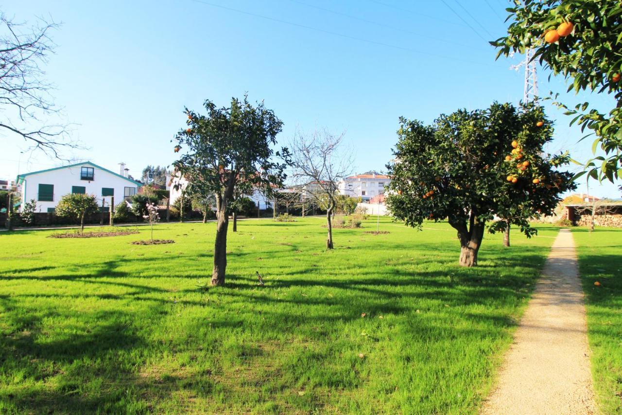 Villa Casa dos Ouriços à Ponte de Lima Extérieur photo