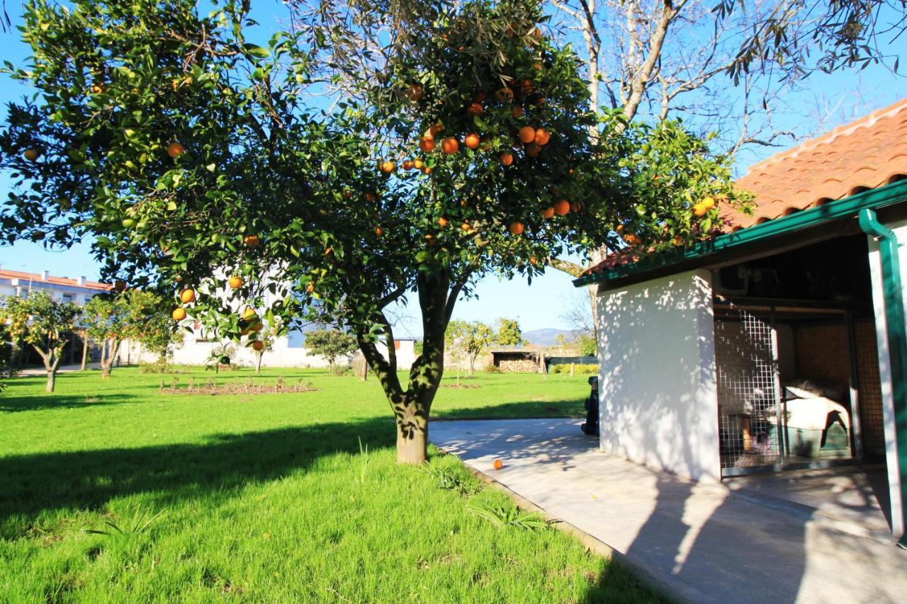 Villa Casa dos Ouriços à Ponte de Lima Extérieur photo